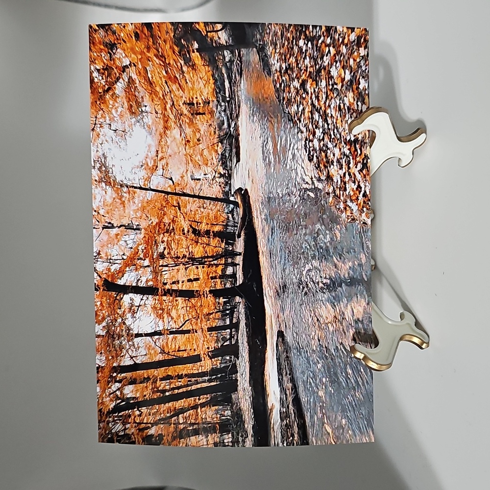 4x6 Orange Autumn Forest Woods Fall Forest Oil Painting Glossy Print